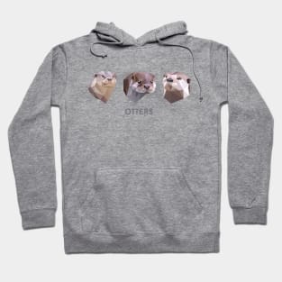 Otters of Asia Hoodie